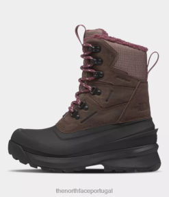 calçados The North Face mulheres botas impermeáveis chilkat v 400 taupe profundo/preto tnf 8T02T947