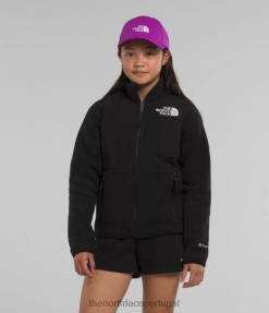 roupas The North Face crianças jaqueta denali tnf preto 8T02T582