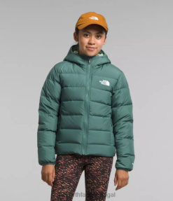 roupas The North Face crianças jaqueta reversível com capuz north down sábio escuro 8T02T628