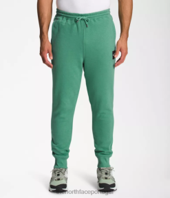 roupas The North Face homens box nse joggers verde grama profundo/tnf preto 8T02T1041