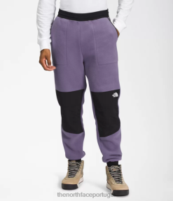 roupas The North Face homens calça denali ardósia lunar/tnf preto 8T02T880