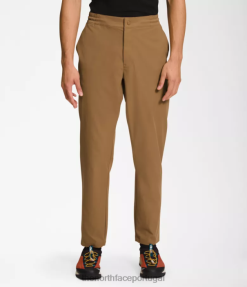 roupas The North Face homens calças cônicas padrão marrom utilitário 8T02T1215
