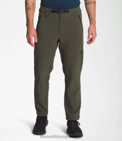 roupas The North Face homens calças profissionais primordiais novo verde taupe 8T02T27