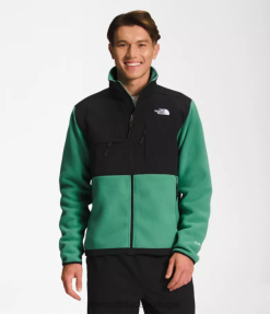 roupas The North Face homens jaqueta denali grama verde profunda 8T02T197