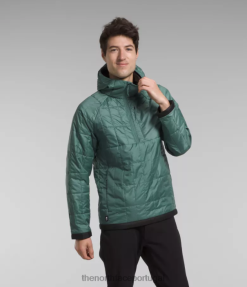 roupas The North Face homens pulôver circaloft com zíper sábio escuro/tnf preto 8T02T767