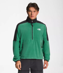 roupas The North Face homens tnf polartec 100 -zip grama verde profunda 8T02T305