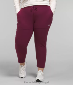 roupas The North Face mulheres além de calças alpinas polartec 100 amora 8T02T251