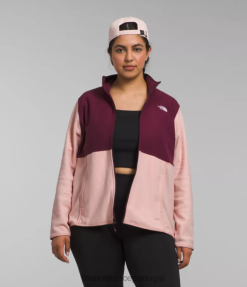 roupas The North Face mulheres além de jaqueta alpina polartec 100 musgo rosa / amora 8T02T1225