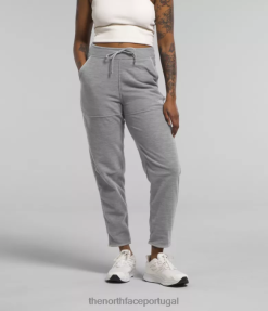 roupas The North Face mulheres calça alpina polartec 100 tnf urze cinza médio 8T02T848