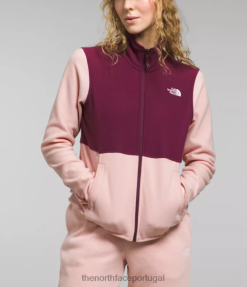 roupas The North Face mulheres jaqueta alpina polartec 100 musgo rosa / amora 8T02T1013